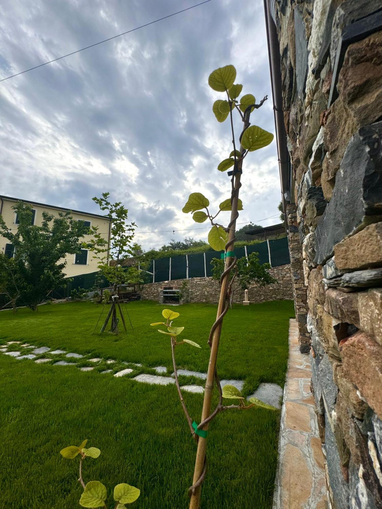 Bed and Breakfast Ligo Villanova d'Albenga Exterior foto