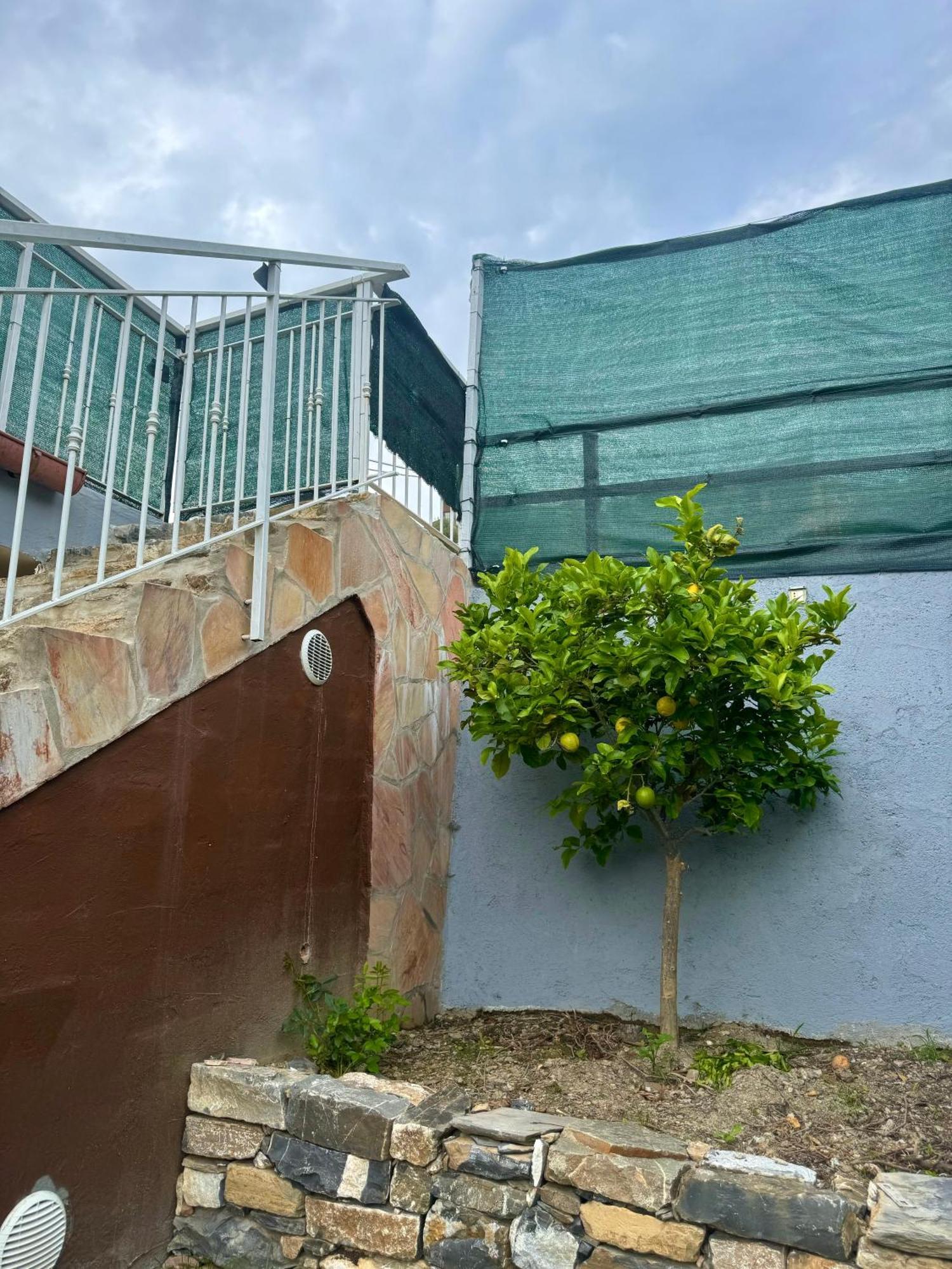 Bed and Breakfast Ligo Villanova d'Albenga Exterior foto